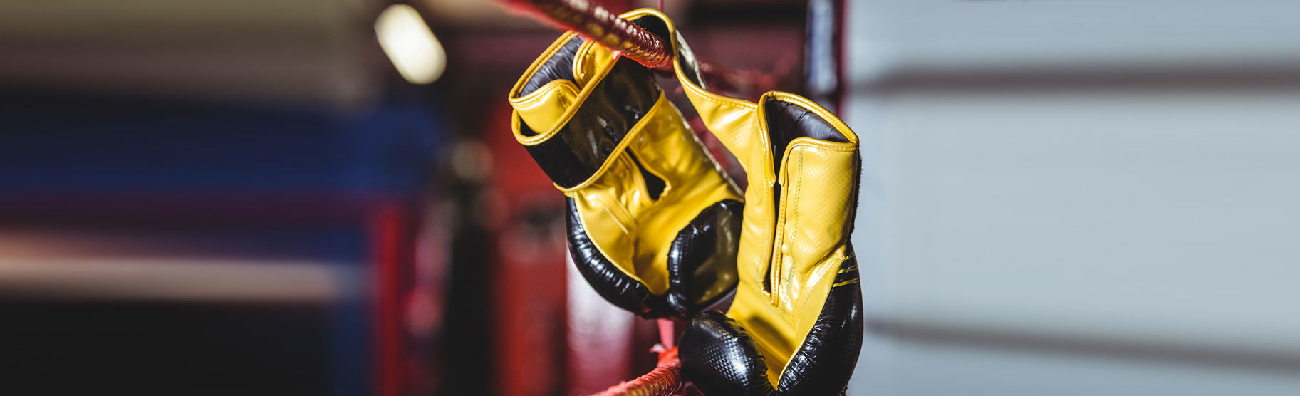 Attorney Directory Swift Currie